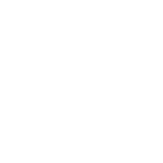 Icon_Government_w Icon_Government_w